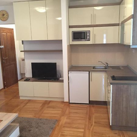Nena Apartman Zlatibor Exteriér fotografie